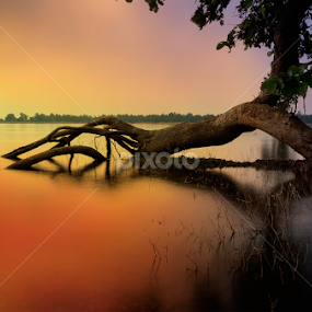 by Subir Majumdar - Landscapes Waterscapes