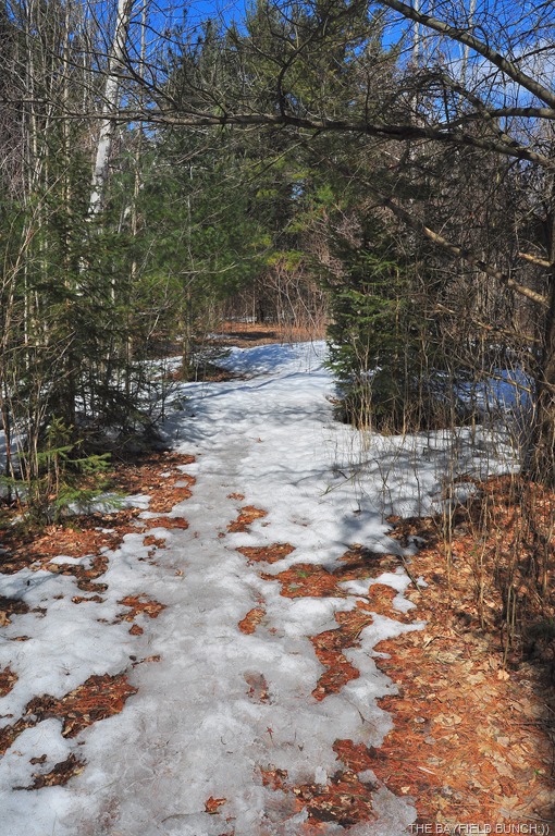 [DSC_0010%255B4%255D.jpg]