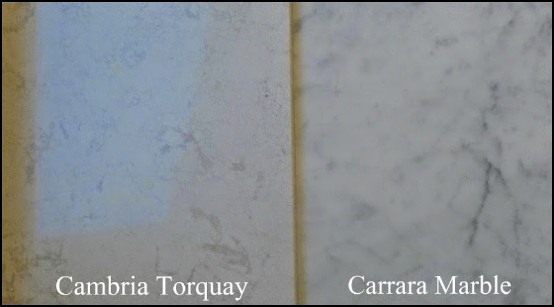 Carrara comparison 002 (800x440)ribbit1