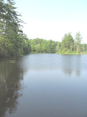 bog reservoir