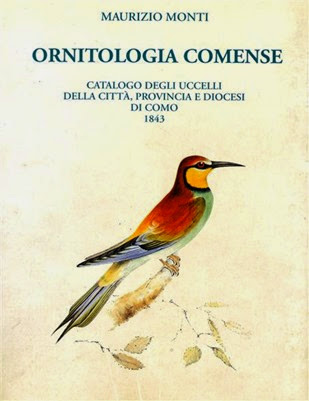 Ornitologia comense (Medium)