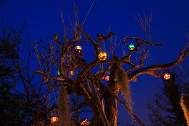 [IMG_2928DPP%255B1%255D.jpg]