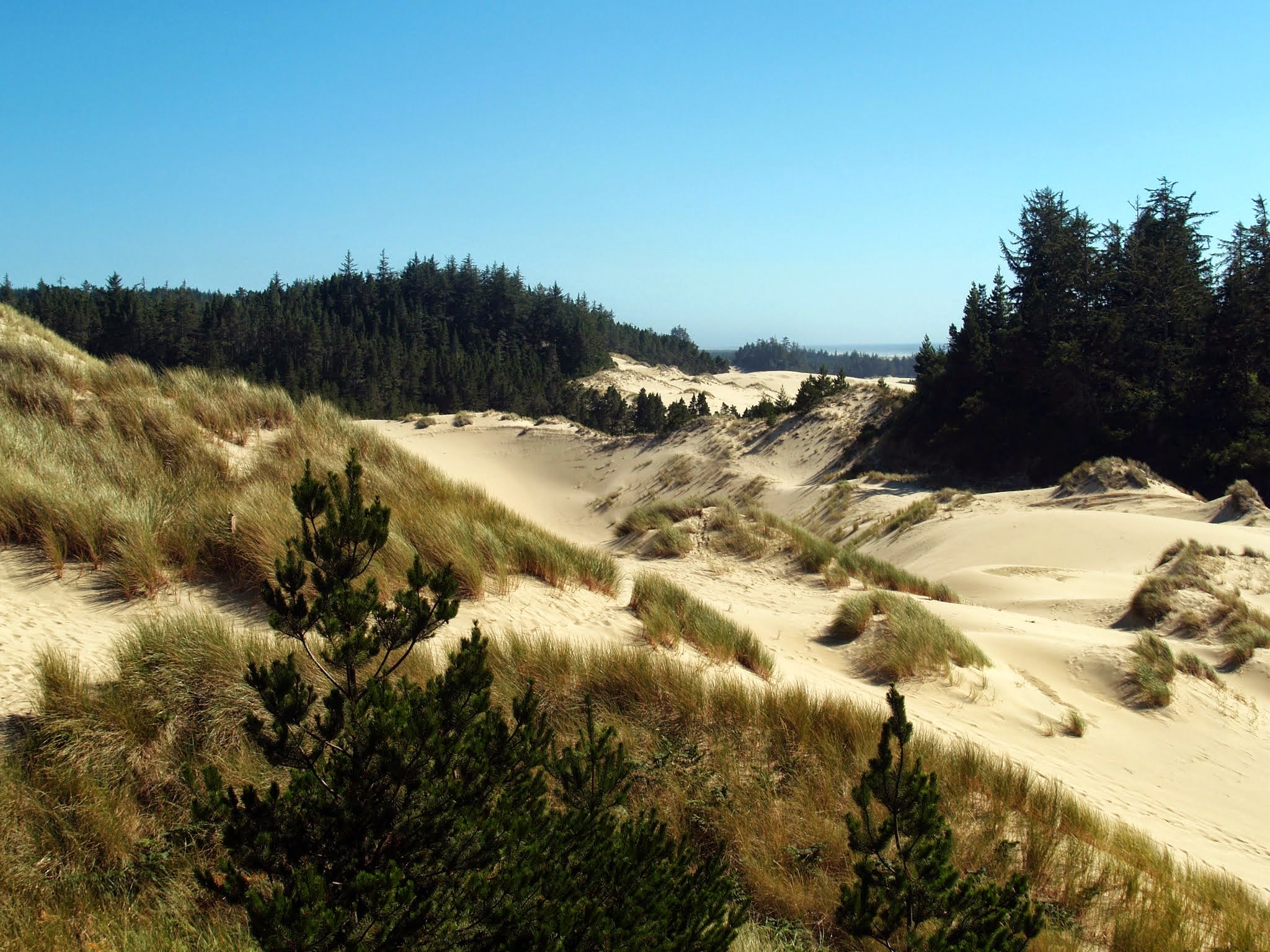 Florence, OR and vicinity Here and There