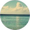 Image Google de Catalan Solen