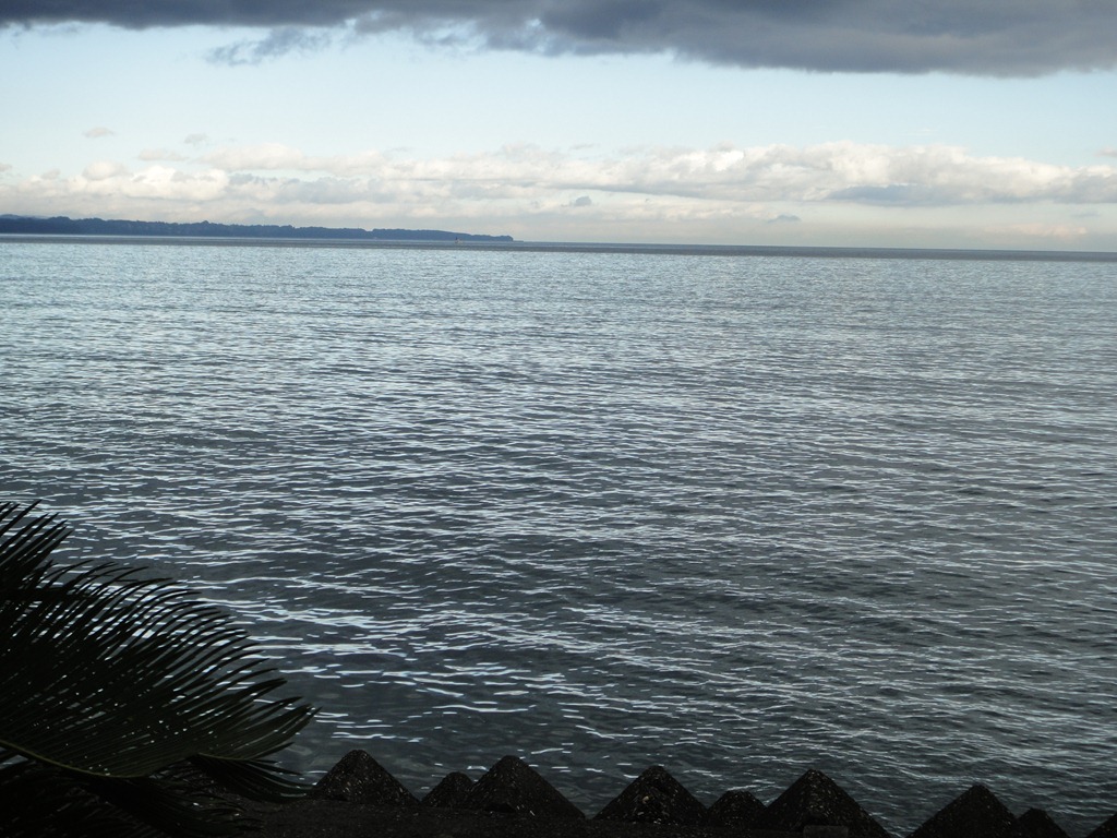[DSC03490%255B3%255D.jpg]