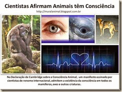 Cientistas Afirmam Animais têm Consciência_thumb[1]