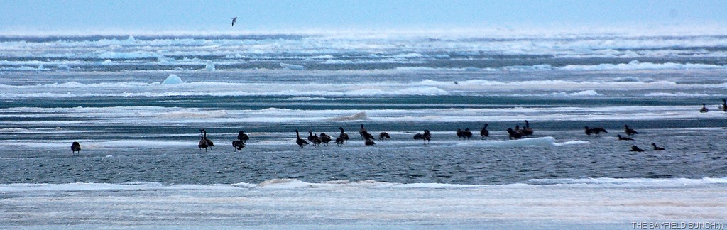 [DSC_3801%255B4%255D.jpg]