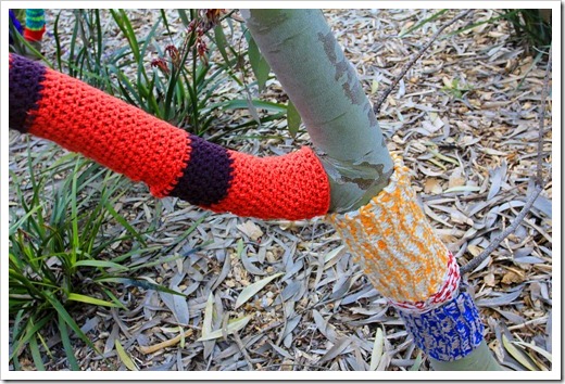 130119_UCDA_AustralianCollection_Natural-Transformations-yarn-bombing_07