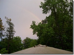 rainbows 002