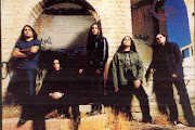 Shadows Fall