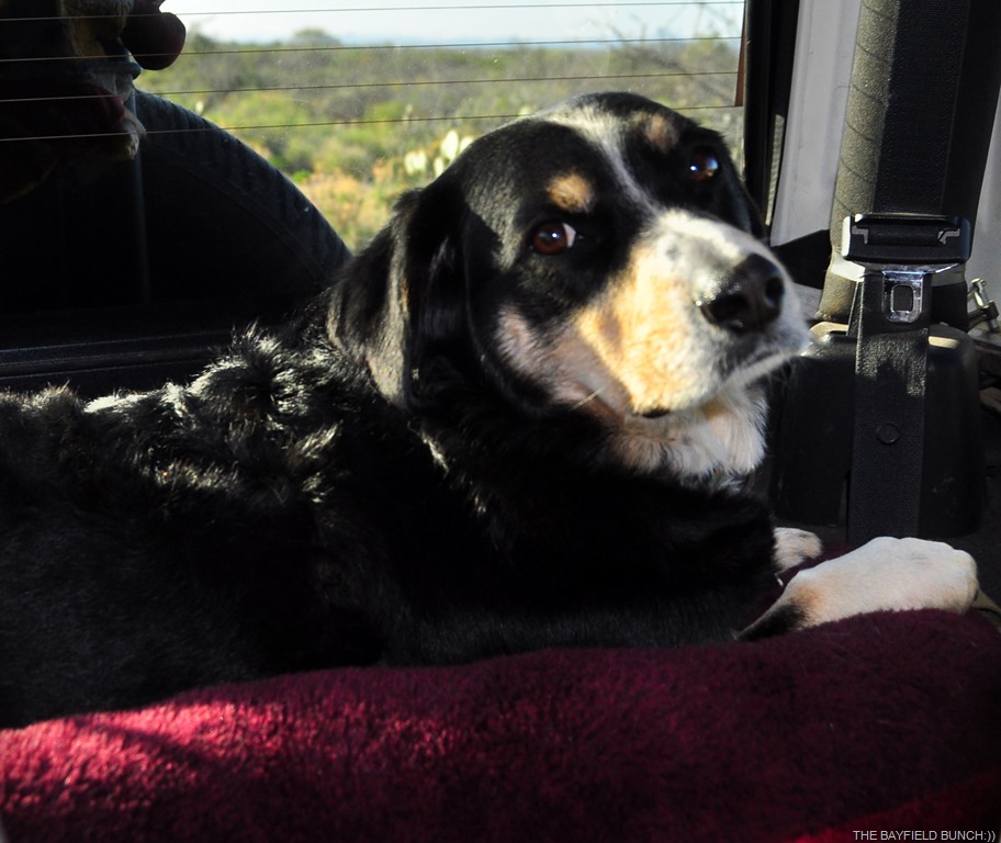 [DSC_0003%255B3%255D.jpg]