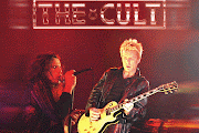 The Cult