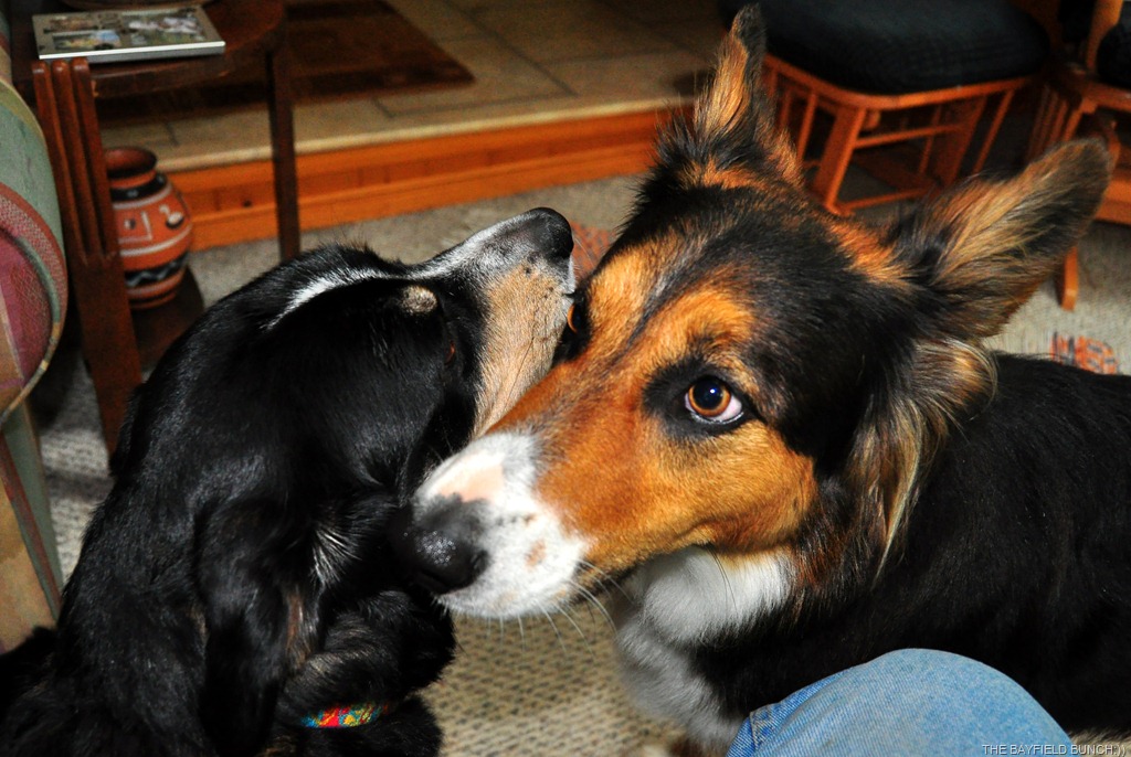 [DSC_0010%255B3%255D.jpg]