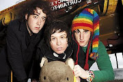 Wombats