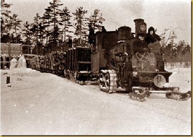 Logging white pine log sled with Shay locomotive