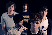 Foals