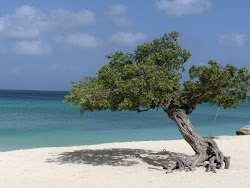 2013-10-01 Aruba - 35