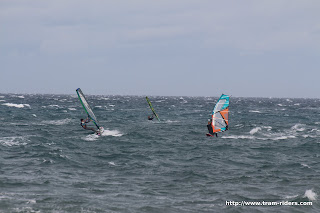 IMG_3564.JPG