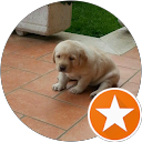 Pinko Pallino profile picture