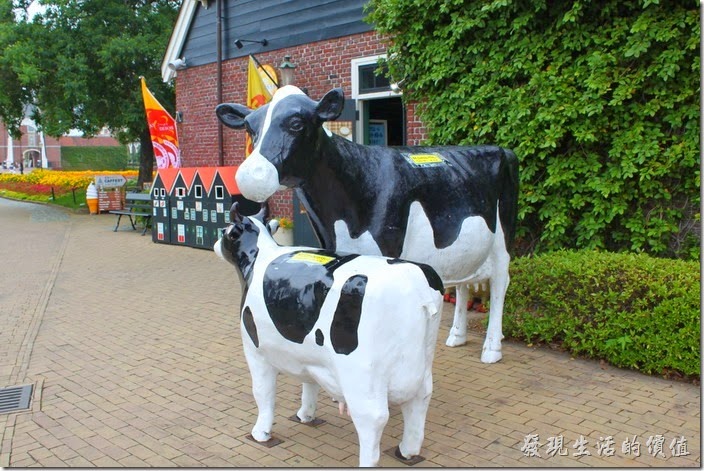 日本北九州-豪斯登堡。發現一間商店，外邊養了兩隻乳牛模型。