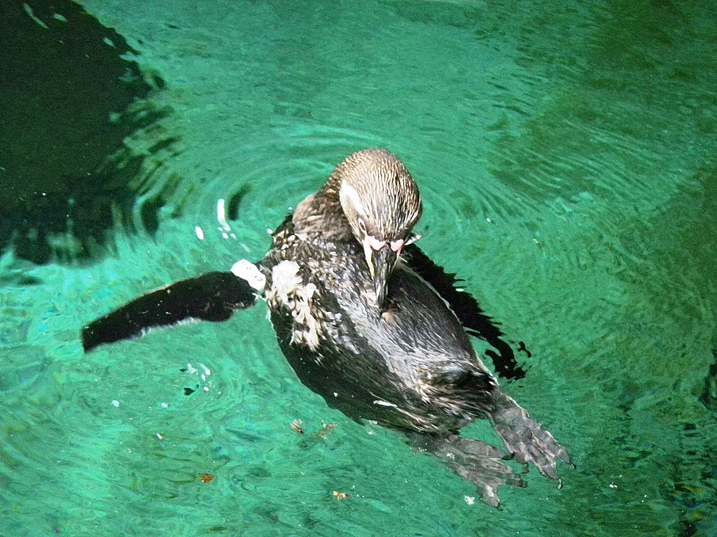 [DSCN5486%2520-%2520Kopie%255B5%255D.jpg]