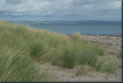 12-sand-dunes