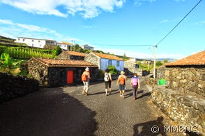 IMG_3561 IMG_3561