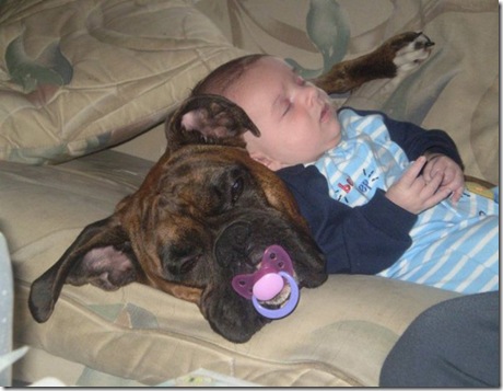 the right pacifier