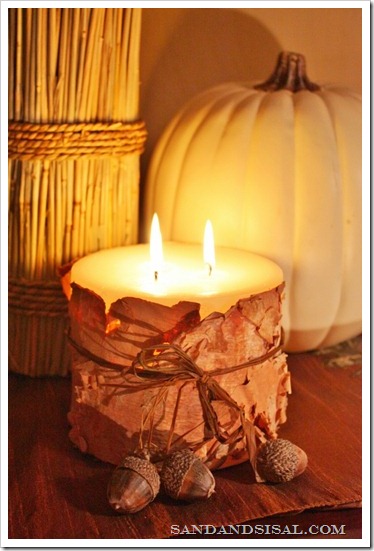 Birch Bark Candle