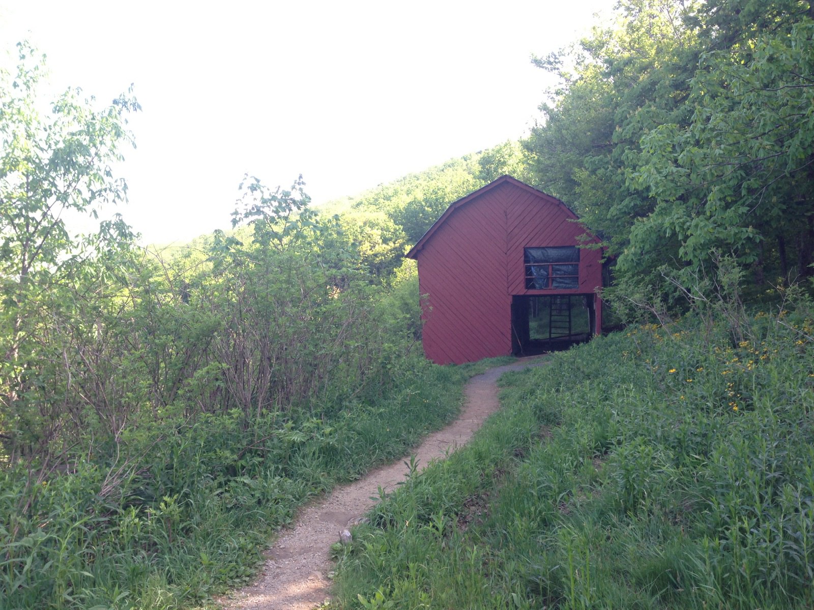 An Appalachian Trail Adventure May 30 Roan High Knob to Overmountain