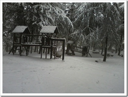 ancora pineta cn neve 2012