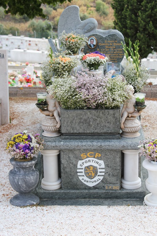 [IMG_3844%255B3%255D.jpg]