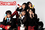 Dream5