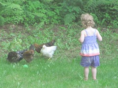 2012 Memorial Day Bella with her chickens and ball6