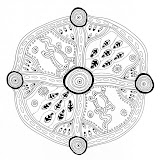 Mandala-077.jpg