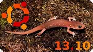ubuntu-13-10-saucy-salamander