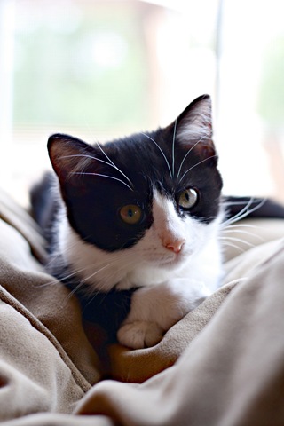 [IMG_2158%255B3%255D.jpg]