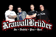 Krawallbrüder