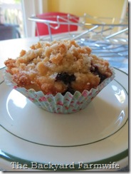 blueberry lemon streusel muffins - The Backyard Farmwife