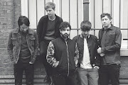 Foals