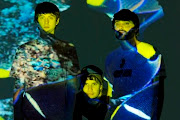 Animal Collective