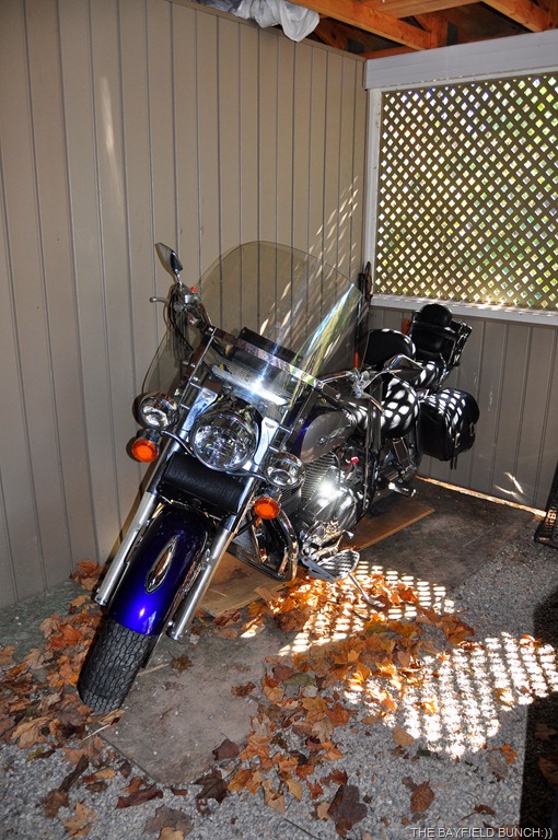 [DSC_0005%255B4%255D.jpg]