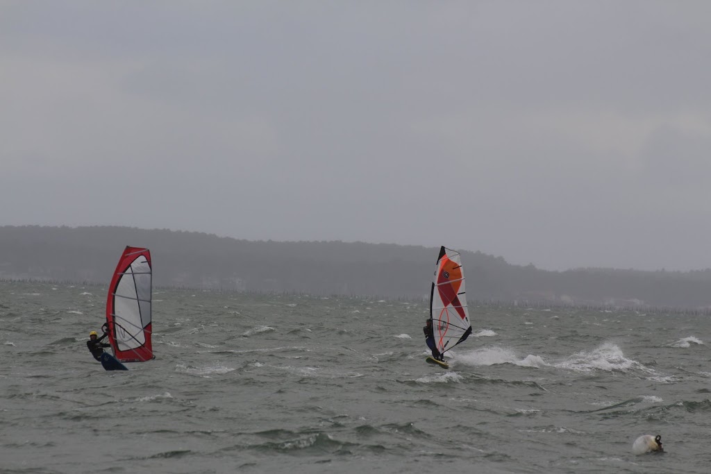 IMG_4479.JPG