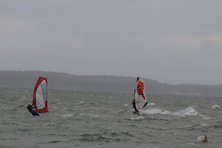 IMG_4479.JPG
