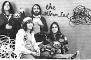 The Shimmies