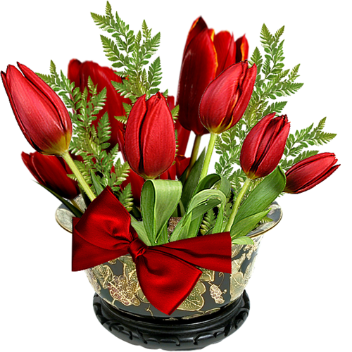 0_b09ba_91914581_L.png