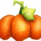 Pumpkin01.jpg