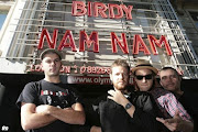 Birdy Nam Nam