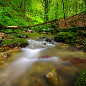 by Zoran Rudec - Landscapes Waterscapes