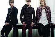 Lunafly